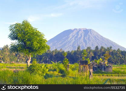 Picture of Mountain Agung.Bali Island. Indonesia.