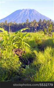 Picture of Mountain Agung.Bali Island. Indonesia.