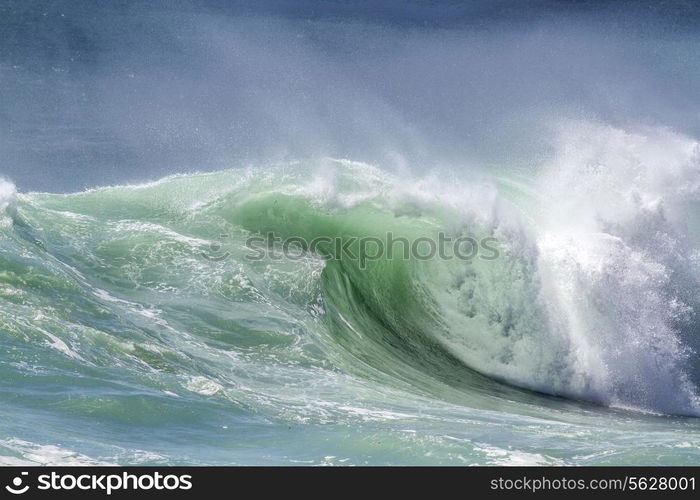 Picture of Perfect Ocean Wave. Indian Ocean.