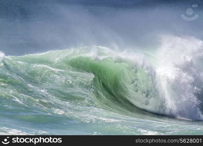 Picture of Perfect Ocean Wave. Indian Ocean.