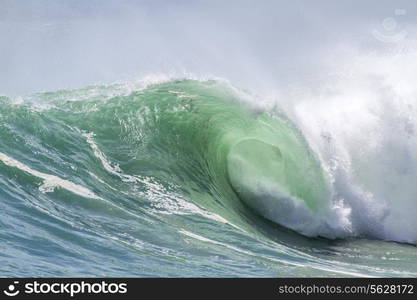 Picture of Perfect Ocean Wave. Indian Ocean.