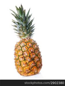 picture of ripe pineapple isolated on a white background