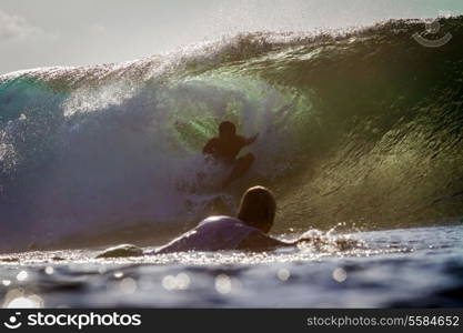 Picture of Surfing a Wave at Sunrise Time