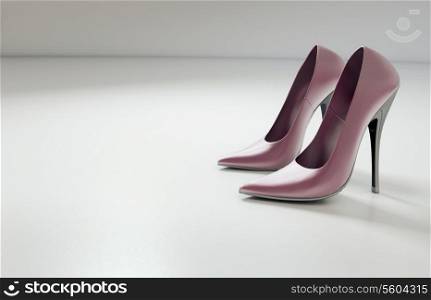Picture presenting female pinky shoes