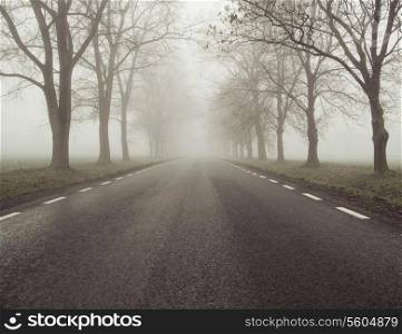 Picture presenting the foggy road