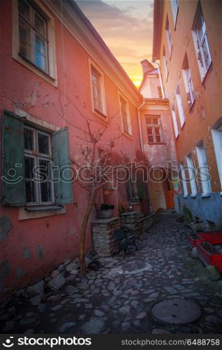 picturesque and very beautiful photos of Tallinn. beautiful photos of Tallinn