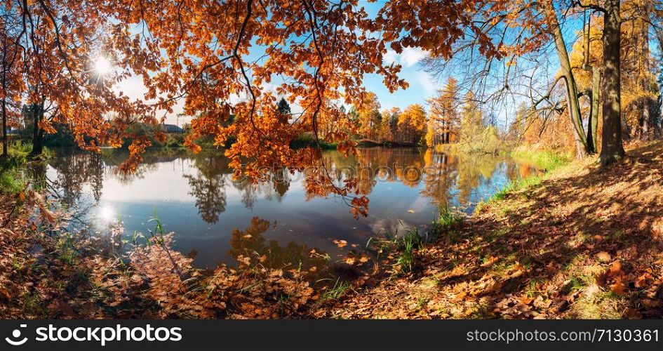 Picturesque autumn landscape. Yellow trees are reflected in the water of a small pond . Priyutino, Vsevolozhsk, Leningrad region.. Picturesque autumn landscape. Yellow trees are reflected in the water of a small pond. Panorama.