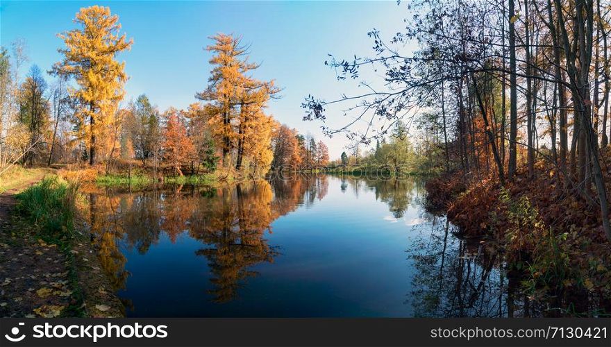 Picturesque autumn landscape. Yellow trees are reflected in the water of a small pond . Priyutino, Vsevolozhsk, Leningrad region.. Picturesque autumn landscape. Yellow trees are reflected in the water of a small pond. Panorama.