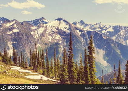 Picturesque Canadian mountains in summer