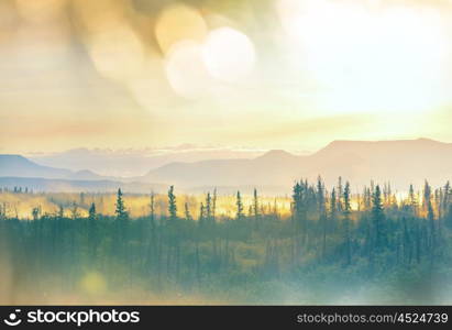 Picturesque Canadian mountains in summer