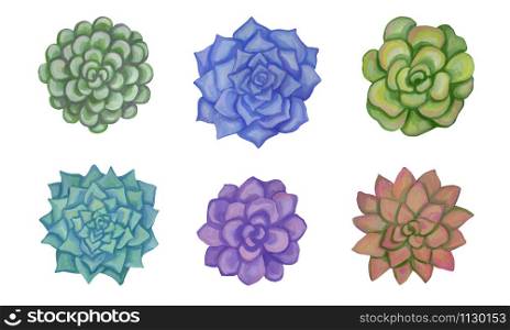 Picturesque collection. Botanical drawings with acrylic paints. Colorful pastel succulents isolated on a white background. Vintage style. Elements for design prints, posters, cards, etc.