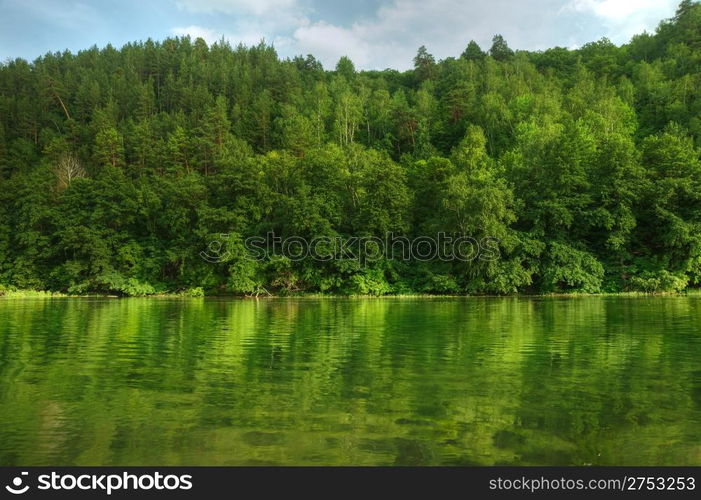 Picturesque forest and the river. Small river at bottom of mountain with mixed by a wood in the East Europe. Ukraine.