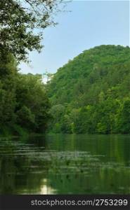 Picturesque forest and the river. Small river at bottom of mountain with mixed by a wood in the East Europe. Ukraine.