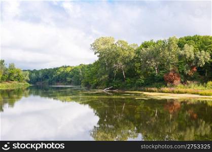 Picturesque forest and the river. Ukraine. Seversky Doneth