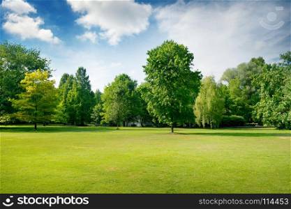 Picturesque green glade in city park. Green grass and trees. Copy space.