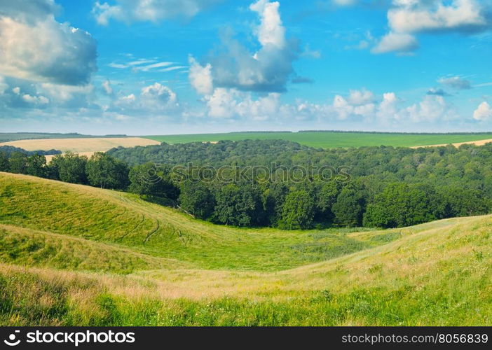 picturesque hills, forest and blue sky