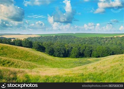 picturesque hills, forest and blue sky