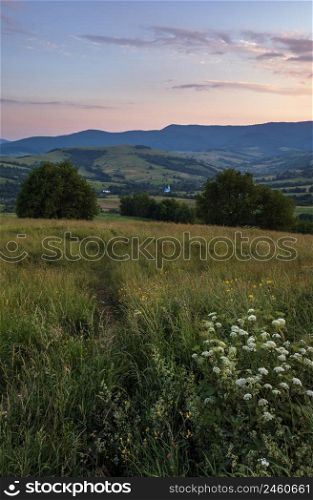 Picturesque June Carpathian mountain countryside meadows. Abundance of vegetation and beautiful wild flowers.