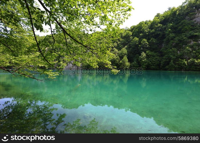 picturesque lake in forest high in mountains