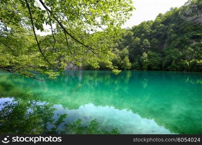 picturesque lake in forest high in mountains