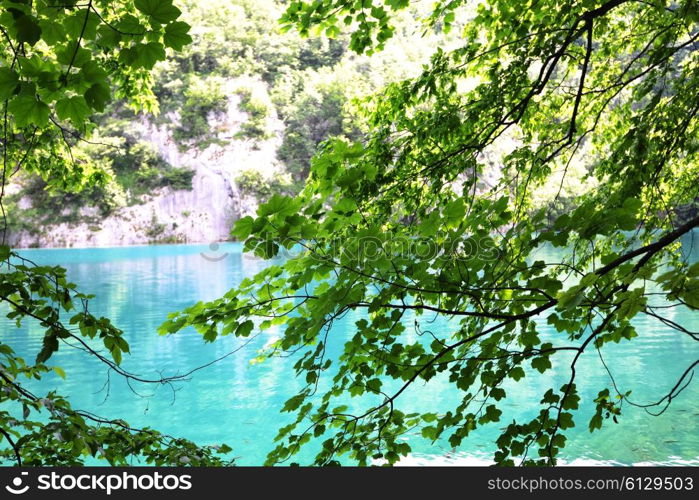 picturesque lake in forest high in mountains