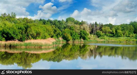 picturesque lake, summer forest on the banks and sky