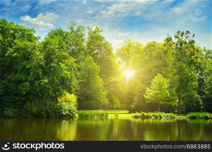 picturesque lake, summer forest on the banks and the sun rise