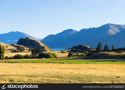 Picturesque landscape. Natural landscape of New Zealand alps and field