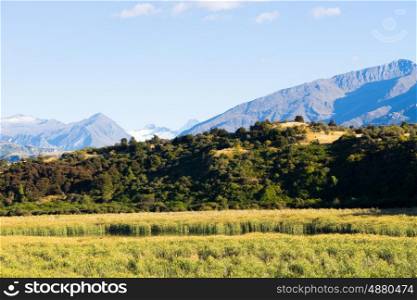 Picturesque landscape. Natural landscape of New Zealand alps and field