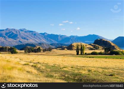 Picturesque landscape. Natural landscape of New Zealand alps and field