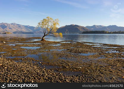 Picturesque landscape. Natural landscape of New Zealand alps and lake