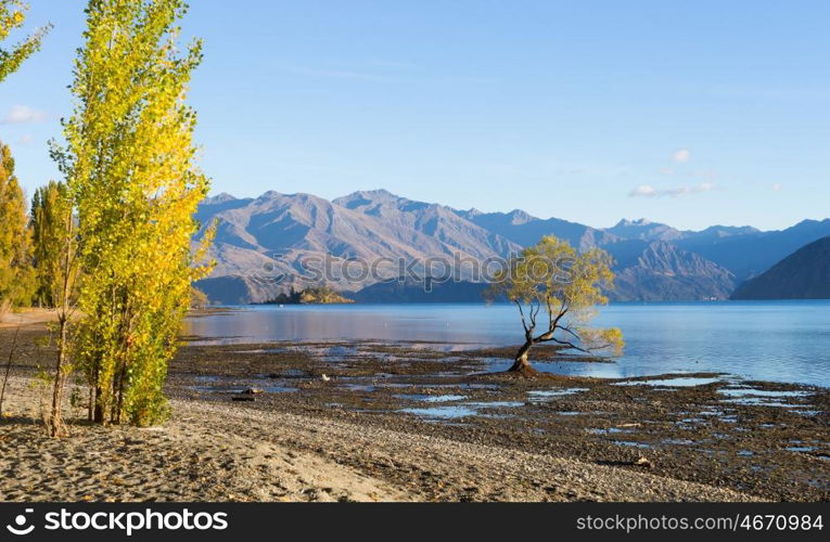 Picturesque landscape. Natural landscape of New Zealand alps and lake