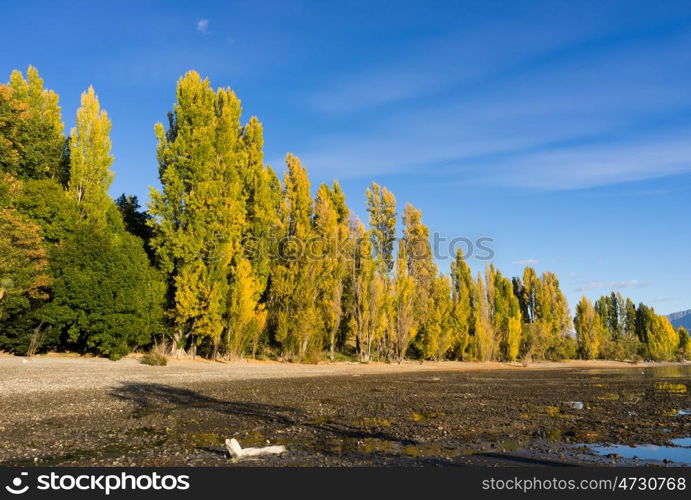 Picturesque landscape. Natural landscape of New Zealand alps and lake