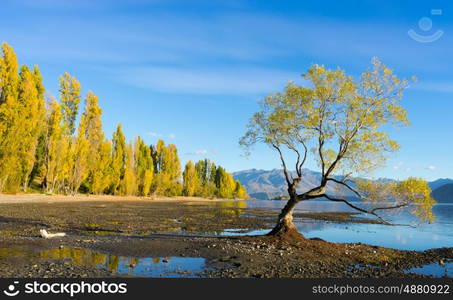 Picturesque landscape. Natural landscape of New Zealand alps and lake