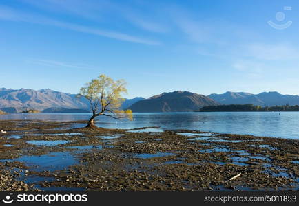 Picturesque landscape. Natural landscape of New Zealand alps and lake