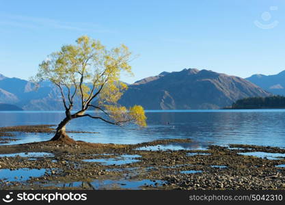 Picturesque landscape. Natural landscape of New Zealand alps and lake