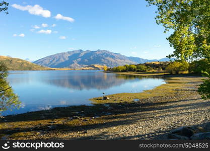 Picturesque landscape. Natural landscape of New Zealand alps and lake