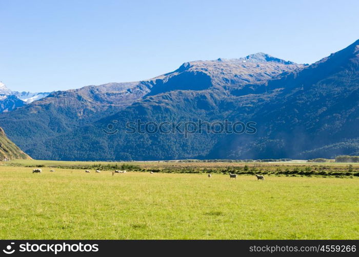 Picturesque landscape. Natural landscape of New Zealand alps and meadows