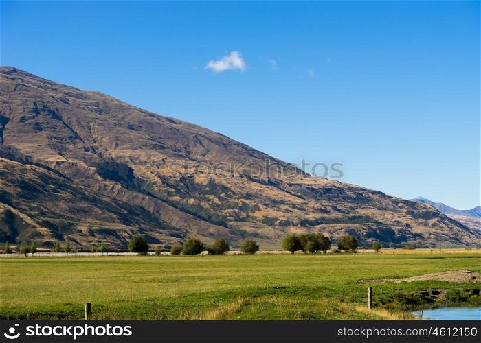 Picturesque landscape. Natural landscape of New Zealand alps and meadows