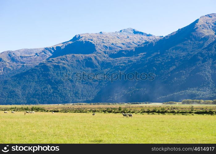 Picturesque landscape. Natural landscape of New Zealand alps and meadows