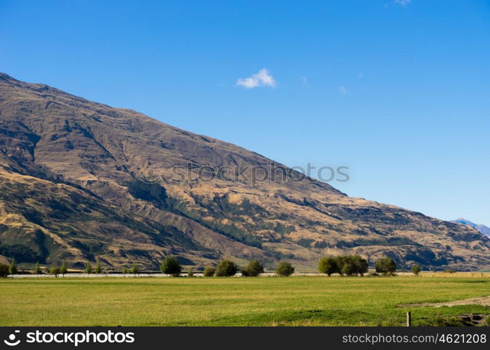 Picturesque landscape. Natural landscape of New Zealand alps and meadows