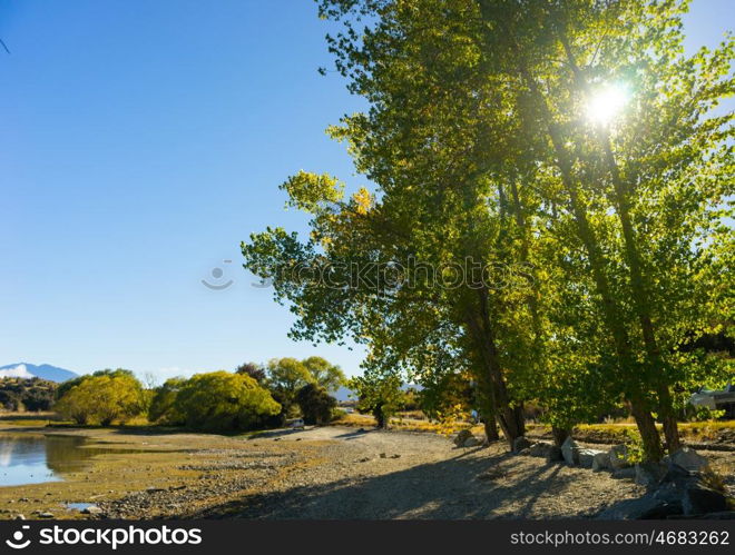 Picturesque landscape. Natural landscape of New Zealand alps and meadows