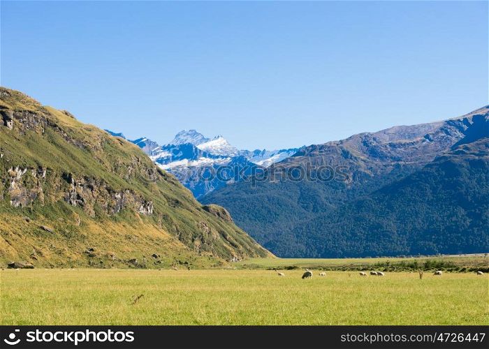 Picturesque landscape. Natural landscape of New Zealand alps and meadows