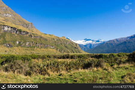 Picturesque landscape. Natural landscape of New Zealand alps and meadows