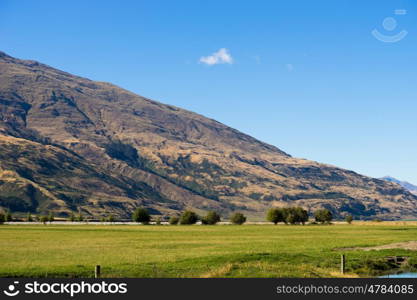 Picturesque landscape. Natural landscape of New Zealand alps and meadows