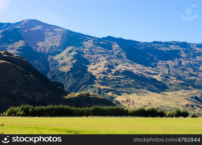 Picturesque landscape. Natural landscape of New Zealand alps and meadows