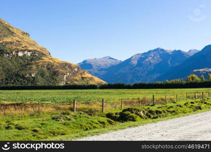 Picturesque landscape. Natural landscape of New Zealand alps and road