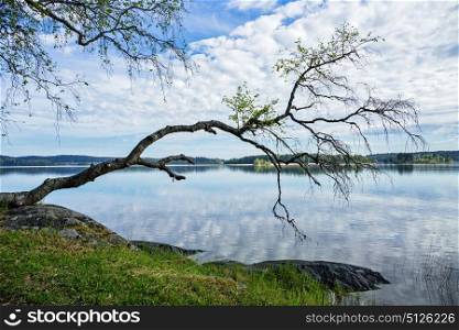 Picturesque landscape on the shore of a lake in Karelia