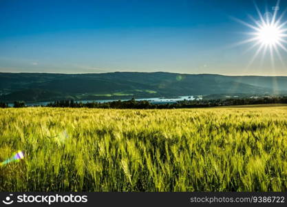 Picturesque landscapes of Norway. Green fresh fields at sunny day. High quality photo. Picturesque landscapes of Norway. Green fresh fields at sunny day.