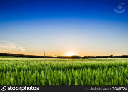 Picturesque landscapes of Norway. Green fresh fields at sunny day. High quality photo. Picturesque landscapes of Norway. Green fresh fields at sunny day.